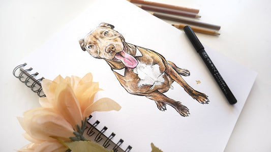 Free Dog Colouring Book